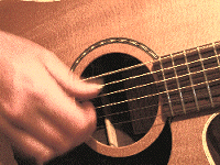 Finger